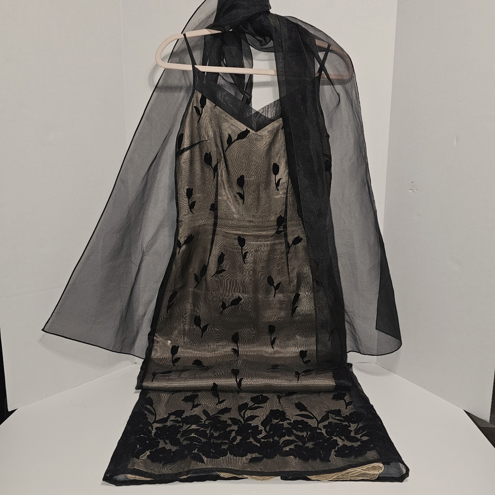 Elegant Black and Nude Women's Dress